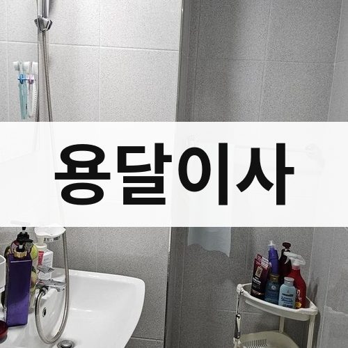 충남·세종 용달이사 포장이사