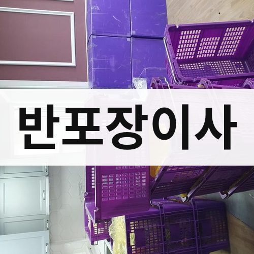 세종시 반포장이사 포장이사
