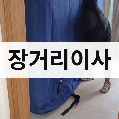 세종시 장거리이사 포장이사