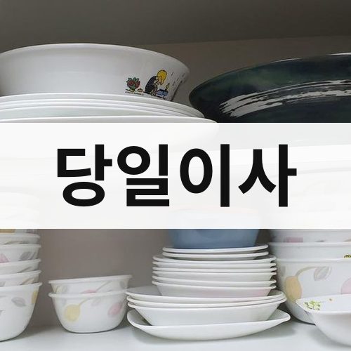 충남·세종 당일이사 포장이사