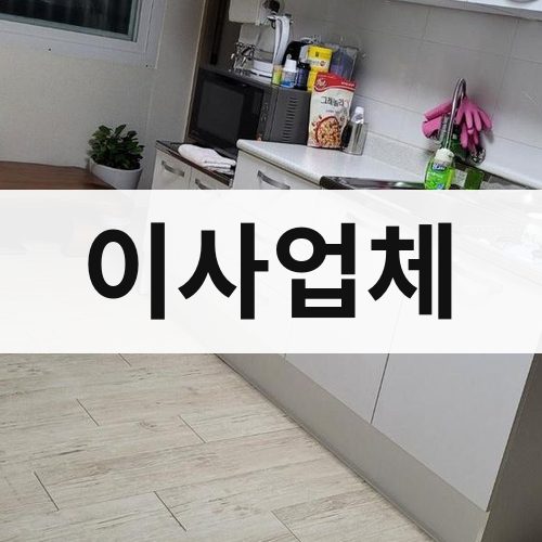 세종시 이사업체 포장이사